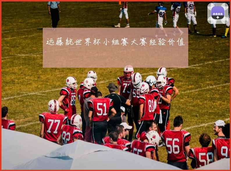远藤航世界杯小组赛大赛经验价值