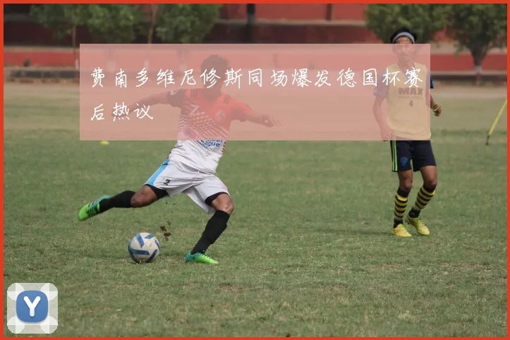 费南多维尼修斯同场爆发德国杯赛后热议