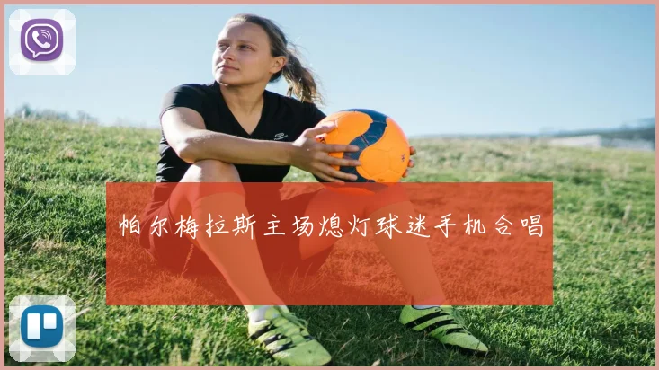 帕尔梅拉斯主场熄灯球迷手机合唱