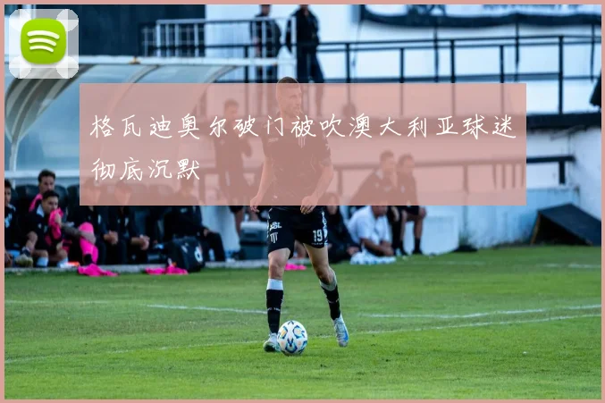格瓦迪奥尔破门被吹澳大利亚球迷彻底沉默
