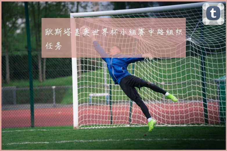 欧斯塔基奥世界杯小组赛中路组织任务