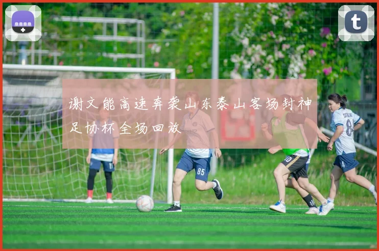 谢文能高速奔袭山东泰山客场封神足协杯全场回放