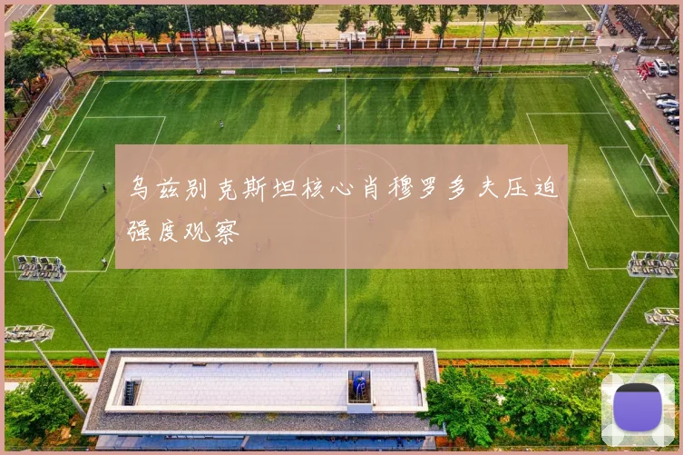 乌兹别克斯坦核心肖穆罗多夫压迫强度观察