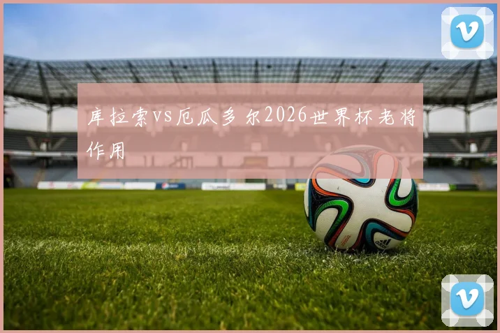 库拉索vs厄瓜多尔2026世界杯老将作用