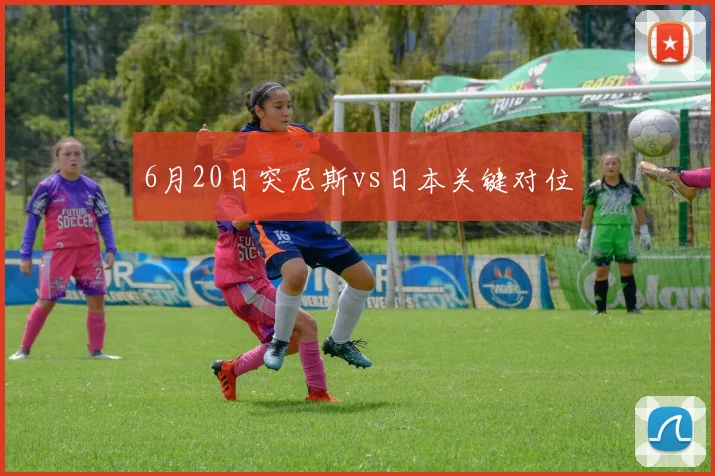 6月20日突尼斯vs日本关键对位