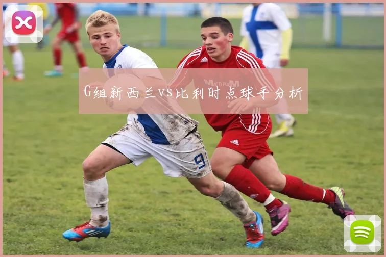 G组新西兰vs比利时点球手分析